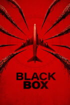 Black Box (Flight 298) (2026)